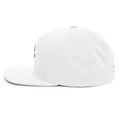 Snapback BJJ Tiger