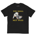Camiseta BJJ Not pass