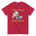 Camiseta BJJ Not pass