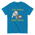 Camiseta BJJ Not pass