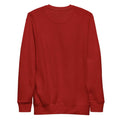 Sudadera BJJ Roll one day at time